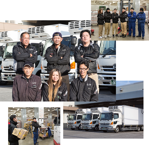 レックスについて